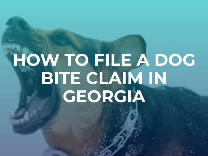 Georgia dog bite